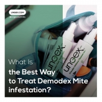 What Is the Best Way to Treat Demodex Mite Infestation?