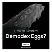 How to Destroy Demodex Eggs? PickP