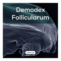 How Do Doctors Treat Demodex Follicularum? PickP