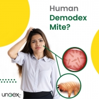 Human Demodex PickP