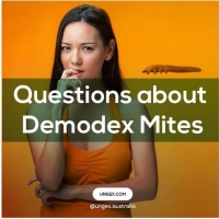 Which Facial Skin Diseases Are Associated with Demodex?