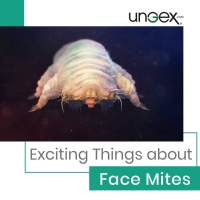 Exciting Things about Face Mites PickP