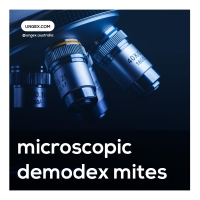 Microscopic Test