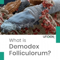 ⚠️ Demodex Folliculum, an Ever Lasting Uninvited Guest PickP