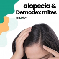 How Demodex mites can cause alopecia?