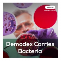 Demodex Carries Bacteria