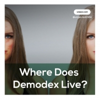 Where Does Demodex Live?