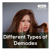 Different Types of Demodex