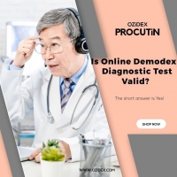 Is the online Demodex Diagnostic Test valid? PickP