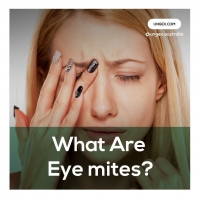 What are eye mites? PickP