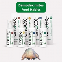 What do Demodex mites eat? 🤔🤔