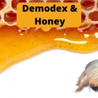 Demodex & Honey PickP