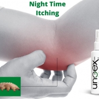 Night Time Itching