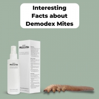 Interesting Facts about Demodex Mites