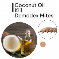 Coconut Oil Kill Demodex Mites PickP