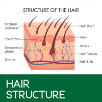 Hair Structure PickP