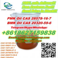 WhatsApp +8618627159838  PMK Oil CAS 28578-16-7 with Safe Delivery and Good Price to Canada/Europe/USA/UK