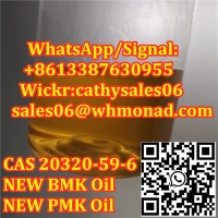 CAS 20320 bmk supplier NEW BMK oil NEW PMK oil NEW PMK Powder to NL,GE,UK,PL