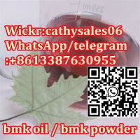 new bmk oil CAS 20320-59-6 bmk liquid 5413-05-8 BMK supplier 16648-44-5