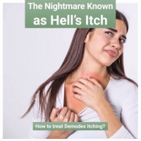 the nightmare is known as hell's itch