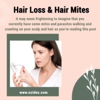 Hair Loss & Hair Mites 🐛 PickP