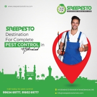 Commercial Pest Control Services in Hyderabad