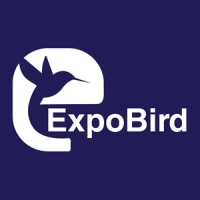 ExpoBird | Top Digital Marketing Agency in Pakistan